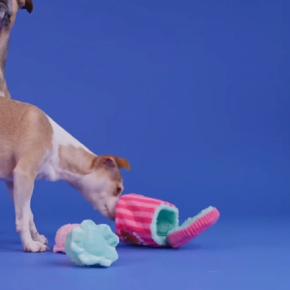 Bark ‘Beg & Hairy's Ice Cream’ Plush Dog Toy(s)